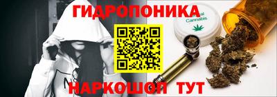 молекула духа Жуковский