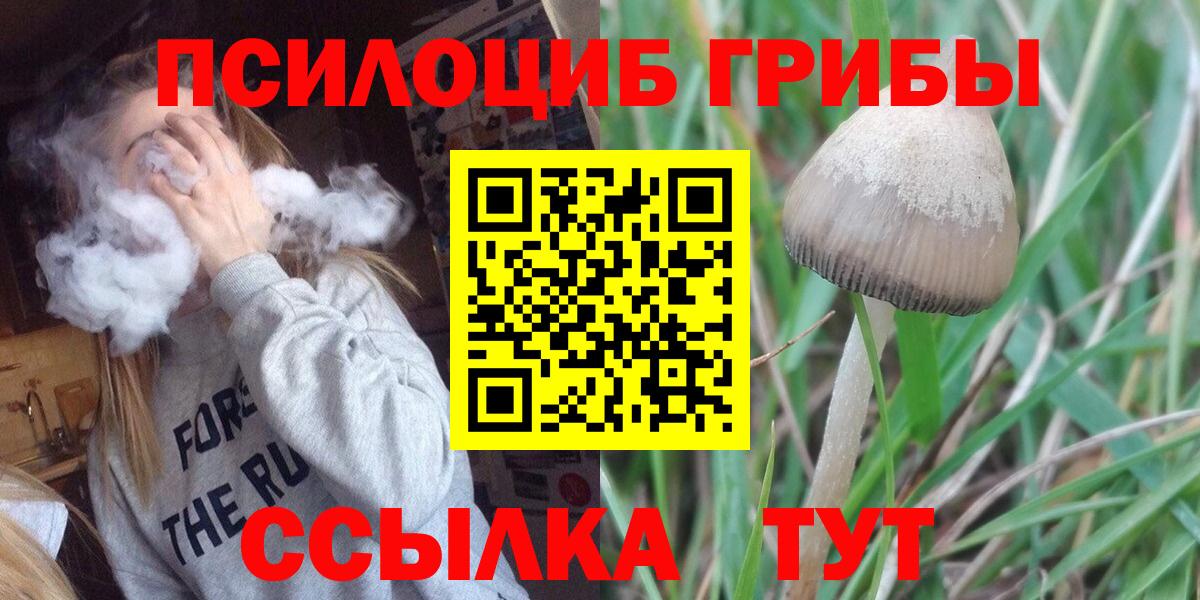 Псилоцибиновые грибы прущие грибы  Галлюциногенные грибы прущие грибы  где продают наркотики  Вход с VPN  Кимовск 